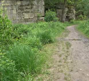 Wanderweg Märchensee Runde