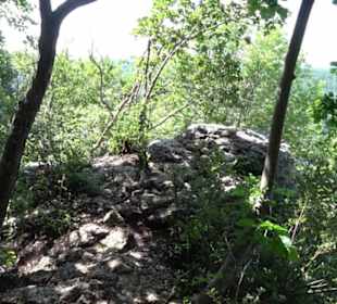 Premiumwanderweg "hochgelegen"