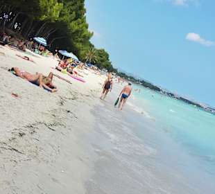 Pinenwald am Strand (sehr ruhig)