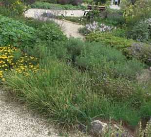 ALB-GOLD Naturgarten