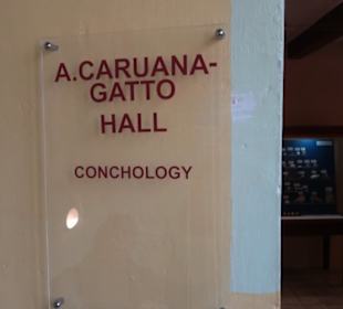 Naturhistorisches Museum