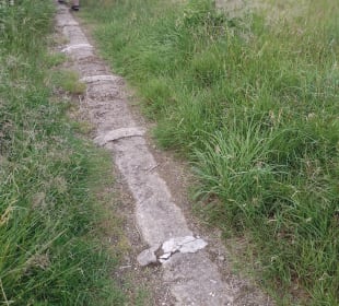 Wasserwanderweg „Buntenbocker Teiche“