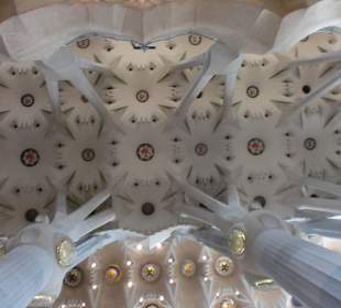 Decke der Sagrada Familia