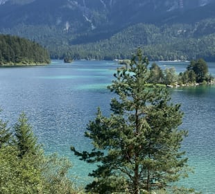 Ausblick