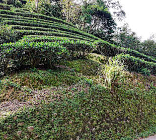 Maokong Gondel - Rund um Maokong Station 