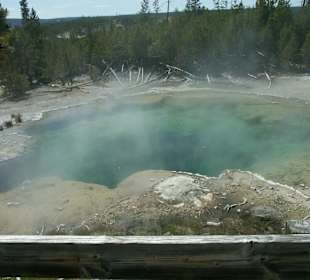 Gayser im Yellowstone