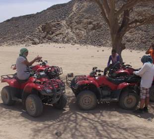 Quad Tour