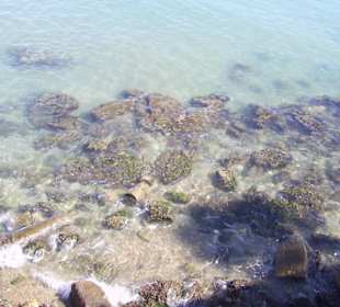 Aussicht vom Hafenrestaurant