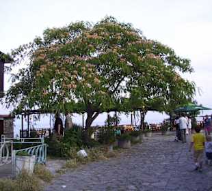 Altstadt von Nessebar