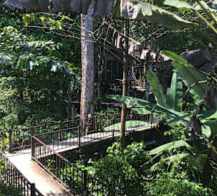 Khao Sok Nationalpark