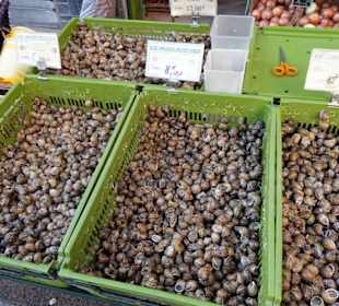 Impressionen vom Marché Cassanyes