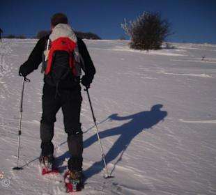 Impressionen Dezember 2012