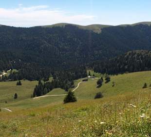 Vista  da Cima Grappa