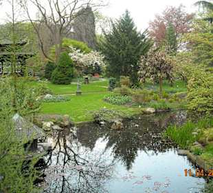 Jap. Garten LEV
