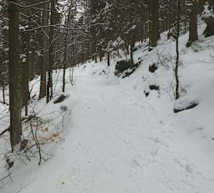 Risslochwasserfälle  2 1/2 Std. wandern