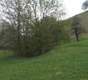 Calverbühl