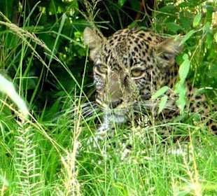Er liess lange auf sich warten