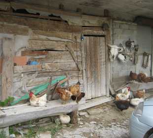 Ausflug Green Canyon