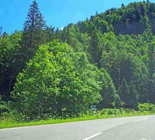 Noch der Anfang vom Plöckenpass