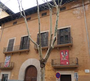 Besichtigungstour quer durch Palma