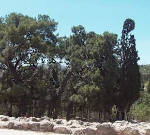 Knossos Ausgrabung Heraklion