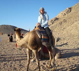 Jeep und Quad Safari, mit Mohamed