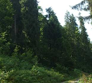 Parcul Natural Apuseni