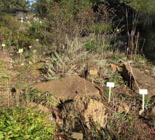Botanischer Garten