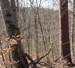 Geologischer Lehrpfad Kirnbachtal