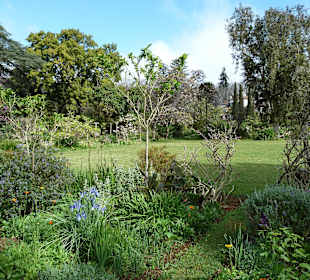 Blick durch den Garten