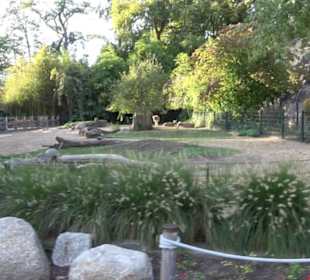 Zoologischer Garten