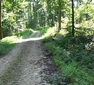 Premiumwanderweg "hochgesprudelt"