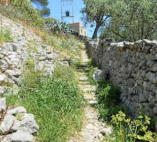 Trockenstein Mauerweg