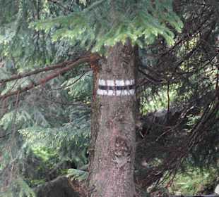 Karkonoski Park Narodowy