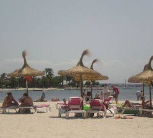 Alcudia Playa