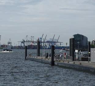 Hadag  Linie 62 - auf dem Weg zum Elbstrand