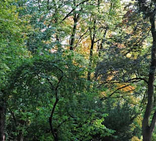 Eindrücke aus dem herbstlichen Knoops Park