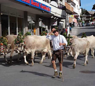 Die Hirten zünftig gekleidet
