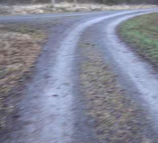 Ochsenweiher Rundweg