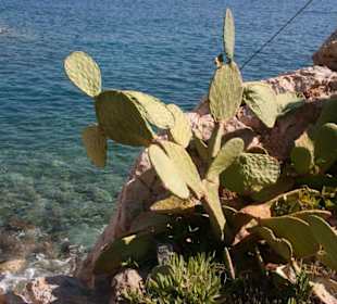 Spaziergang am Wasser