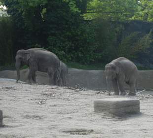 Tierpark Hagenbeck