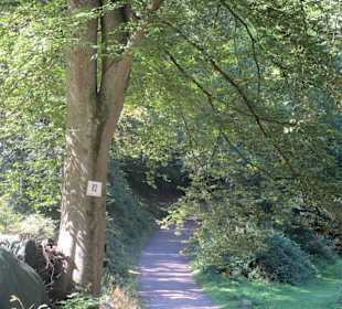  Waldgaststätte Kaltenbrunner Tal