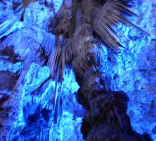 Ausflug nach Gibraltar 