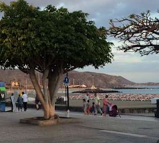 Am Playa de las Vistas