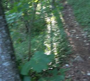 Burgruine Andeck Talheim