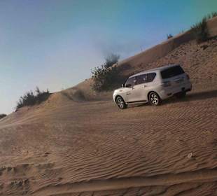 Сафари пустыня