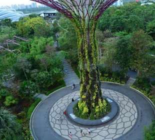 Gardens by the Bay