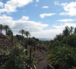 Jadin Botanico de Cactus im Oasispark