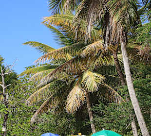 Ausblick vom Strand