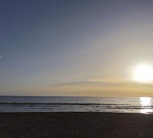 Bei einer organisierten Busrundfahrt auf Mallorca